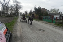 2017-04-09 Łęgonice - dworek (30)