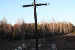2019-02-16 Feliksów krzyż nr1 (3)