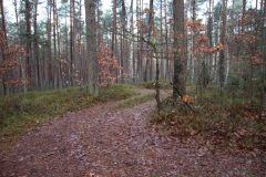 2021-01-03 Giełzów - kapliczka (29)