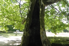 2012-06-30 Nieborów - pałac Radziwiłłów (42)