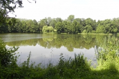 2012-06-30 Nieborów - pałac Radziwiłłów (67)