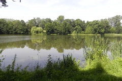 2012-06-30 Nieborów - pałac Radziwiłłów (68)