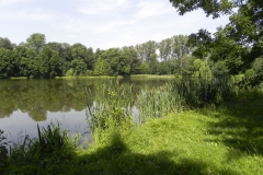 2012-06-30 Nieborów - pałac Radziwiłłów (69)