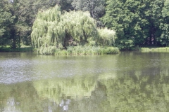 2012-06-30 Nieborów - pałac Radziwiłłów (70)