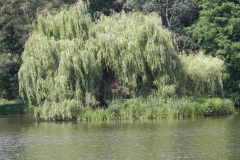 2012-06-30 Nieborów - pałac Radziwiłłów (71)