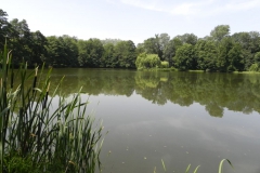 2012-06-30 Nieborów - pałac Radziwiłłów (73)