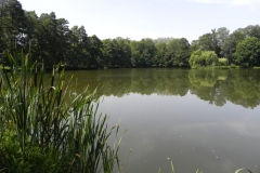 2012-06-30 Nieborów - pałac Radziwiłłów (74)