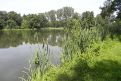 2012-06-30 Nieborów - pałac Radziwiłłów (75)