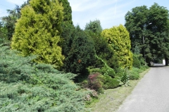 2012-06-30 Nieborów - pałac Radziwiłłów (80)