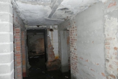 2018-04-05 Bartoszówka - pałac (27)