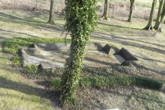 2018-04-05 Bartoszówka - pałac (34)