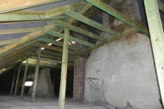 2018-04-05 Bartoszówka - pałac (35)