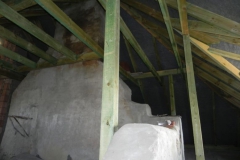 2018-04-05 Bartoszówka - pałac (36)