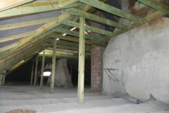 2018-04-05 Bartoszówka - pałac (37)