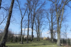 2018-04-05 Bartoszówka - pałac (6)