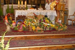 2012-08-16 Sadkowice - dożynki (26)