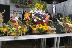 2012-08-16 Sadkowice - dożynki (37)