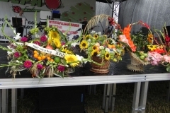 2012-08-16 Sadkowice - dożynki (38)