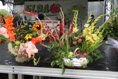 2012-08-16 Sadkowice - dożynki (39)