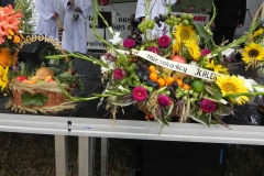 2012-08-16 Sadkowice - dożynki (45)