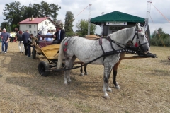 2012-08-16 Sadkowice - dożynki (71)