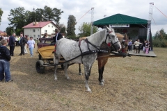 2012-08-16 Sadkowice - dożynki (73)