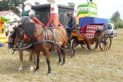 2012-08-16 Sadkowice - dożynki (80)