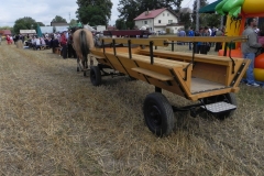 2012-08-16 Sadkowice - dożynki (86)