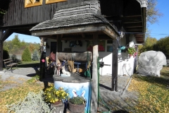 2012-10-27 Tkaczewska Góra - Synowcówka (28)