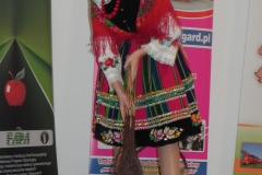 2012-12-14 Wilkowice - Konferencja Wioski tematyczne (130)