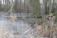 Galeria zdjęć Sochowej Zagrody - podwórko i przyroda (187)