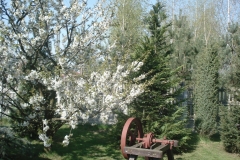 2012 Galeria Staroci u Sochy (100)