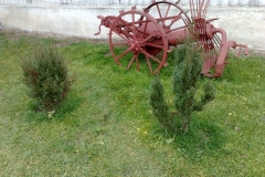 2012 Galeria Staroci u Sochy (60)