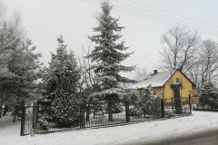 Galeria zdjęć Sochowej Zagrody - podwórko i przyroda (113)