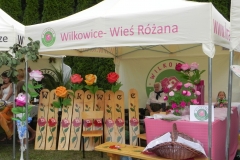 2013-08-18 Dożynki pszczelarskie (46)