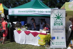 2013-08-26 Dożynki wojewódzkie (41)