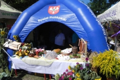 2013-08-26 Dożynki wojewódzkie (45)