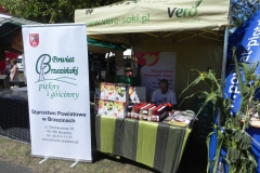 2013-08-26 Dożynki wojewódzkie (46)