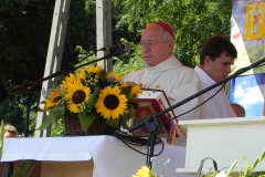 2013-08-26 Dożynki wojewódzkie (77)
