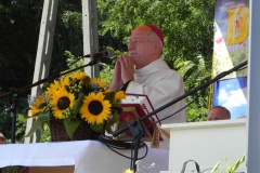 2013-08-26 Dożynki wojewódzkie (78)