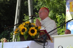 2013-08-26 Dożynki wojewódzkie (79)