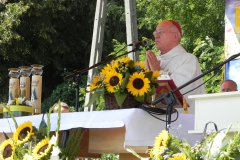 2013-08-26 Dożynki wojewódzkie (80)