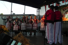 2013-09-10 Festyn - Mińsk Maz (164)