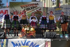 2013-09-10 Festyn - Mińsk Maz (47)
