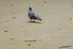 2013-10-01 Warszawa - wycieczka (152)