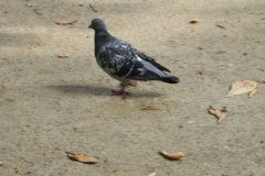 2013-10-01 Warszawa - wycieczka (156)