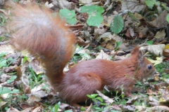 2013-10-01 Warszawa - wycieczka (163)