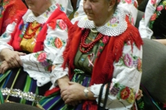 2013-11-09 11 listopada - Regnów (11)