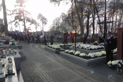 2013-11-11 Biała Rawska - 11 listopada (66)