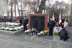 2013-11-11 Biała Rawska - 11 listopada (69)